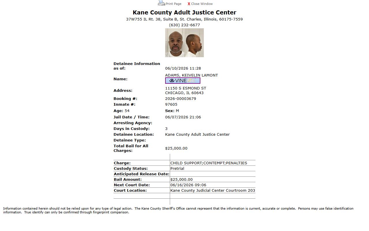 Sample Kane County inmate records profile with booking number, bail, charges, and court date